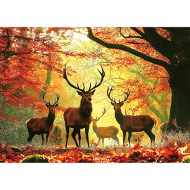 MINIWAN 1000 Piece Jigsaw Puzzle for Adults, Impossible Hard Difficult Challenging Puzzles for Adults, Autumn Elk Nature Landscape Jigsaw Puzzle 1000 Pieces Perfect for Game Nights