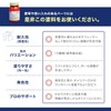 【Professional Painting Tutorial Included】Professional Heat-Resistant Paint Red 100ml