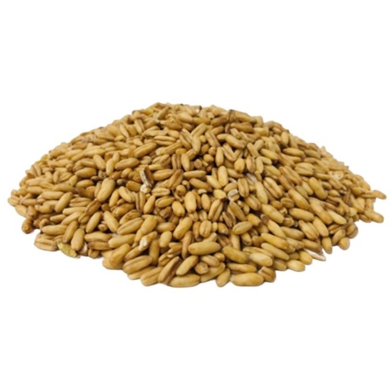 BONGIOVANNI FARINE E BONTA' NATURALI Avena Decorticata Bio - 500g