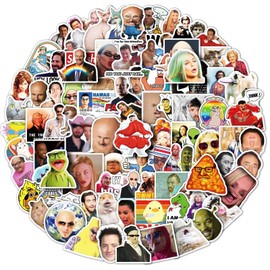 Nettorotes Expression Pack of 100 Stickers Laptop Sticker Bomb Vinyl Sticker Pack for Car Luggage Skateboard Motorcycle Sticker for Teenagers Adults