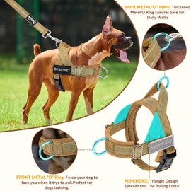 AUTOWT No Pull Dog Harness and Leash Set, No Choke Escapeproof Neck & Chest Adjustable Reflective Dog Vest Harness, 5.9 Ft Dog Leash Anti-Twist Pet Lead Soft Padded for Large Medium Dog(Yellow, L)