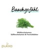 Pukka | Bio-Kräutertee „Drei Fenchel“ | Süßfenchelsamen, Wilder Fenchel und