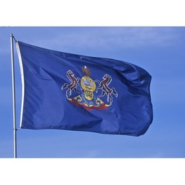 Allied Flag - 3' x 5' Outdoor Nylon Pennsylvania State Flag - Made in USA - Vivid Color and Fade Resistant - Reinforced Hem and Brass Grommets