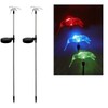 Hummingbird Garden Solar Light (Set of 2)