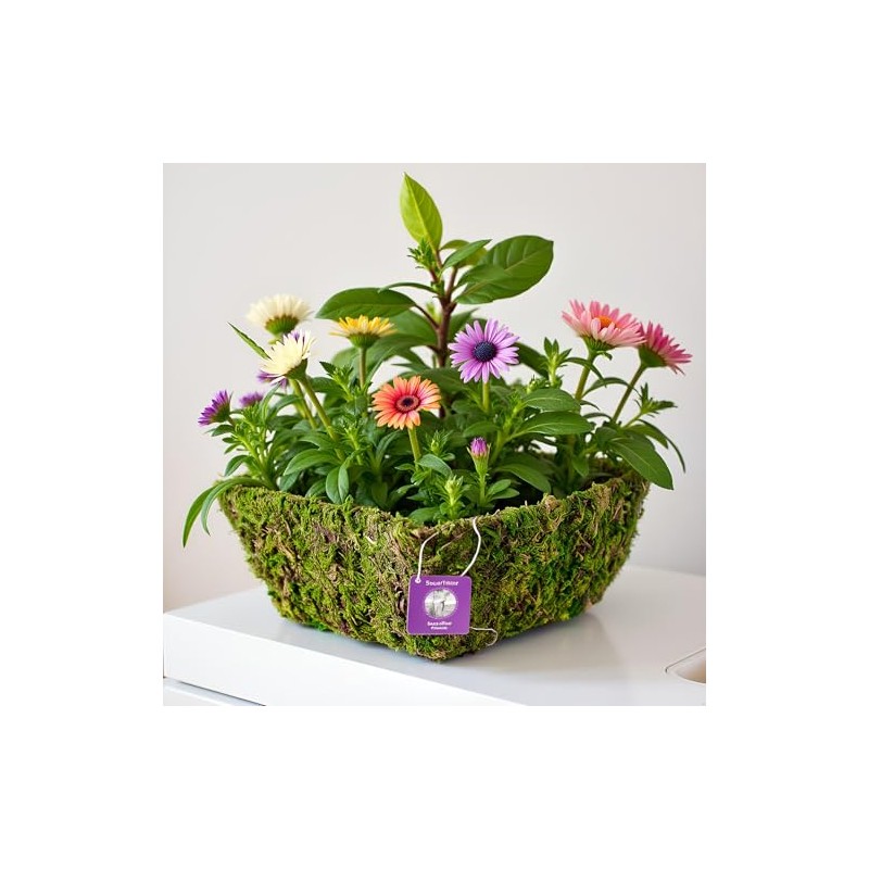 SuperMoss (55040 Marin, Fresh Green, Set of 3 (S/M/L)