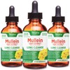 3 Pack Mullein Leaf Extract for Lungs: Mullein Leaf Extract