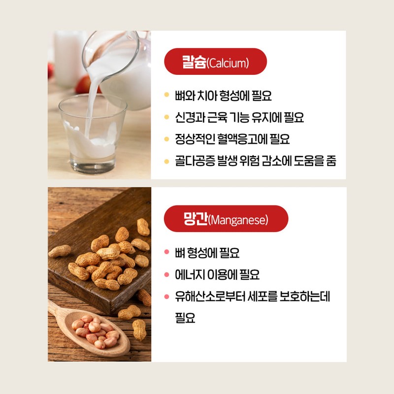 Insa ProQ Propolis Extract Calcium Vitamin C Manganese Complex Function