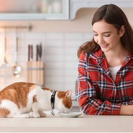 2 Pieces Star Moon Cat Collars And 2 Pieces Leashes, Cute Pet Collars, Adjustable Cat Collars, Glow-In-The-Dark Cat Collars