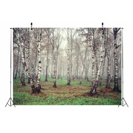CORFOTO Fabric 7x5ft Nature Forest Backdrop Theme Photography Birch Tree Jungle Green Grass Summer Scenery Background for Children Girls Birthday Party Personal Portrait Photoshoot Video Props