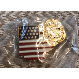 Madison Township Police Pin Police Department Flag & Badge Pin!!!!!!