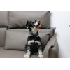 Lionet Paws Gird Dog Collar with Plastic Buckle, Cotton Fall
