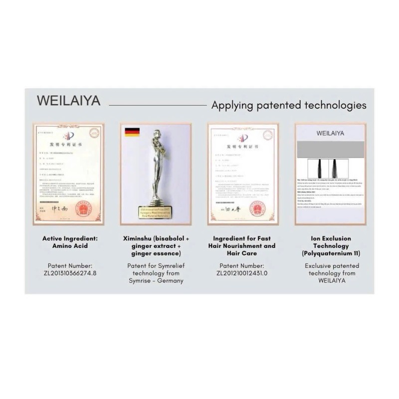 Weilaiya Zingiber X2 Ginger Essence Detox Shampoo & Conditioner For