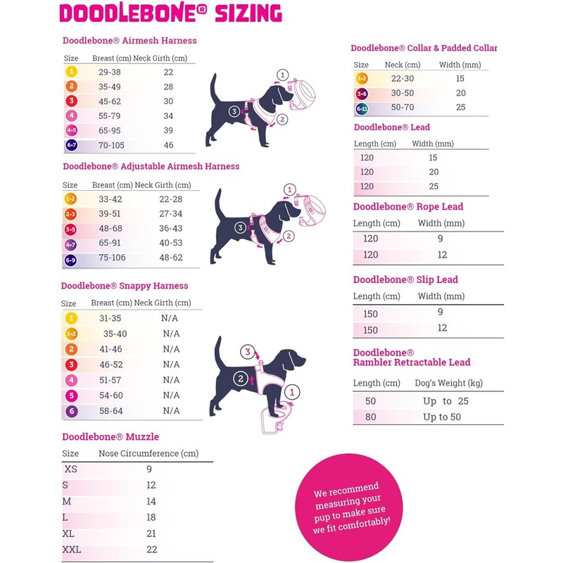 Doodlebone Padded Collar, Cobalt, 1-2
