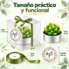 48pzs Velas Cactus Aromaticas Suculento Decorativas Con Caja