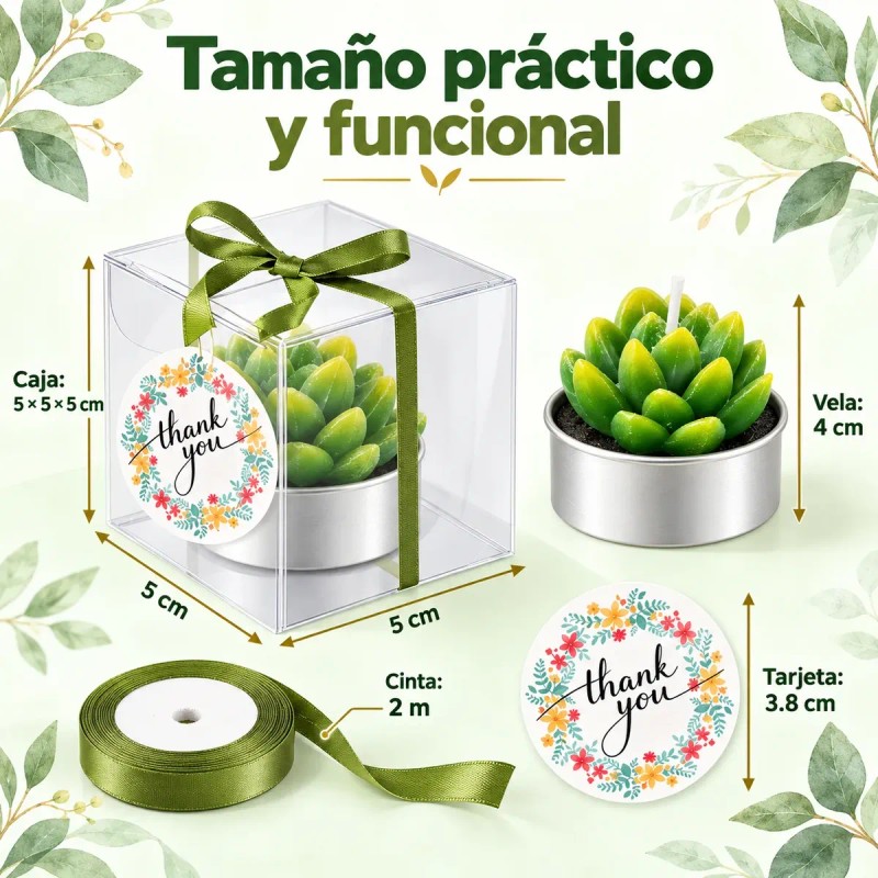48pzs Velas Cactus Aromaticas Suculento Decorativas Con Caja