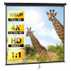 Segawe 120" 1:1 HD Projector Screen Manual Pull Down Projection