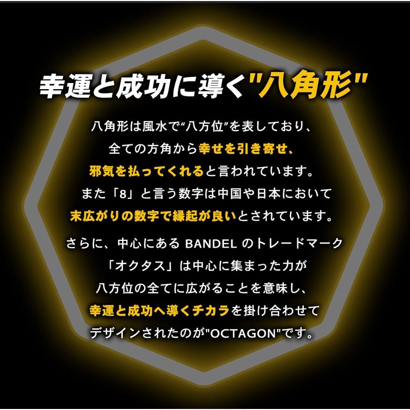 BANDEL Healthcare Necklace Earth Octagon バンデル ヘルスケア ネックレス アース オクタゴン