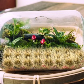 Milisten 1 Box Miniature Grass Fake Grass Decor Mini Decor Miniature Decoration Grass Models Train Buildings and Accessories Miniature Bases Mini Grass Tuft Miniatures for Crafts Fake Dirt