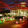 LAMPHOME 8PK 24" 192LED Lollipops Peppermint Pathway Markers with 11