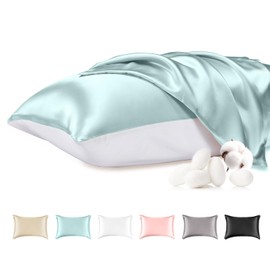 THXSILK 100% Mulberry Silk Pillowcase with Cotton Underside, Silk Pillowcase for Hair and Skin, Queen Size Grade 6A+ Mulberry Silk, Soft Breathable Pillow Cover with Zipper, 1 Pack (Light Blue,Queen)