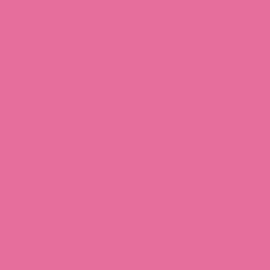 Revlon Matte Lipstick Sky Pink (2-Pack)