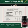 Coq10 Coenzima Q10 200 Por Porción Cápsulas