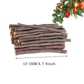 Natural Apple Sticks 10oz(300g) Small Animals Molar Wood Treats Toys Chinchilla Guinea Pig Hamster Rabbit Gerbil Parrot Bunny and Small Animals Chew Stick Toys Treats
