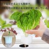 Mirhua Sponge, Soil Free Cultivation Pot, Vegetable Planting Sponge, Medium