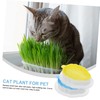Mipcase 2pcs Cat Grass Planter Boxes Hydroponic Catnip Planting Kit