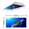 Octo Lights - Fluorescent Light Covers - Classroom, Office, Home