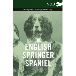 The English Springer Spaniel - A Complete Anthology of the Dog