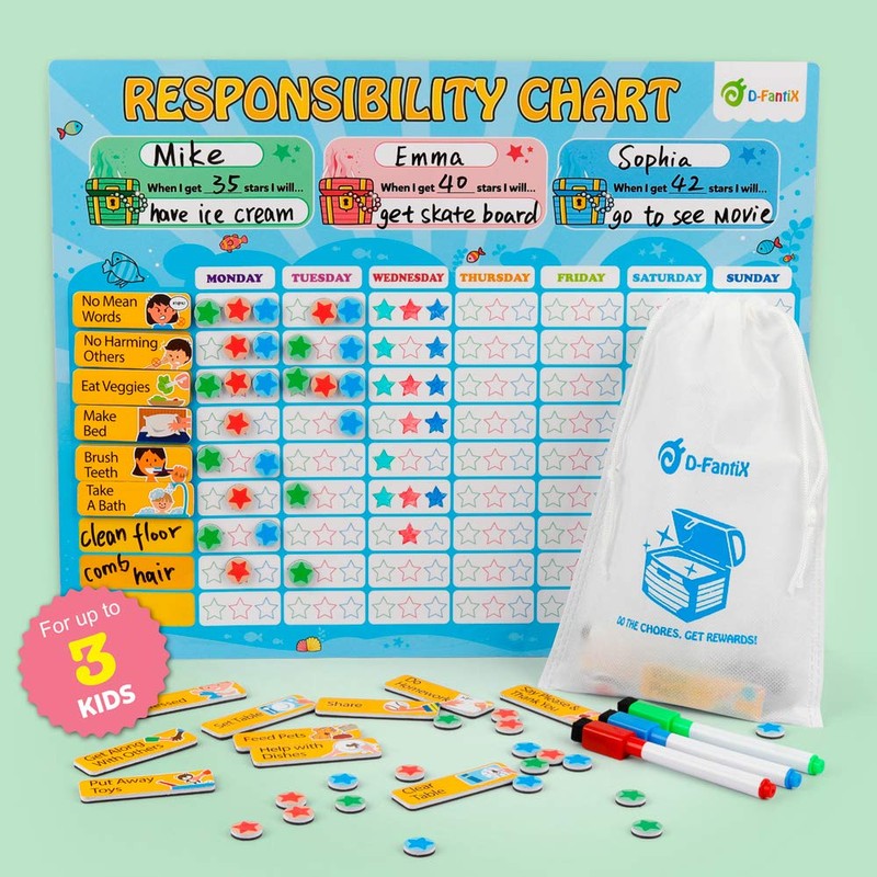 D-FantiX Magnetic Responsibility Chart, Chore Chart for Multiple Kids, My