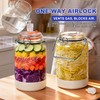 Upgrade 1 Gallon Fermentation Jars with Airlocks - Wide Mouth