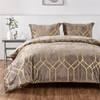 Sunshine Nicole Metallic Print Comforter Set, Distressed Velvet Face with