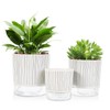 Etvski Self Watering Pots for Indoor Plants, 6 & 5
