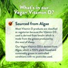 Vegan Vitamin D 1000iu Tablets - 180 Easy-Swallow Plant-Based Algae