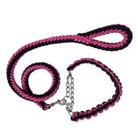 Love Dream Dog Collar and Leash Set, Heavy Duty Nylon Braided Rope Strong 4 FT Dog Leash and Martingale Training Collar for Small Medium Large Dogs Training and Walking (Black & Pink)