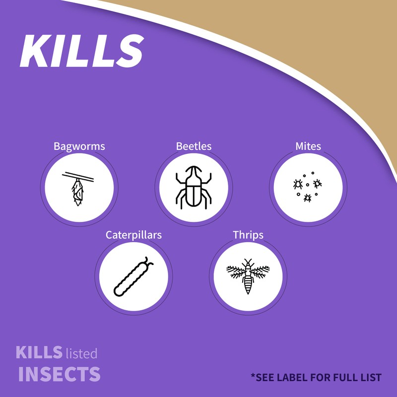 Bonide Captain Jack's Deadbug Brew, 32 oz Concentrate Outdoor Insecticide