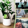KIROYAL 2 Pack Self Watering Spikes, Indoor Plant Watering Globes,
