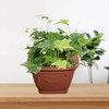 Whitefurze 56446 31cm Venetian Wall Planter Terracotta