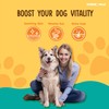 Kyndred Paws Omega Glow Oil, Supplements for Dogs, Skin, Coat