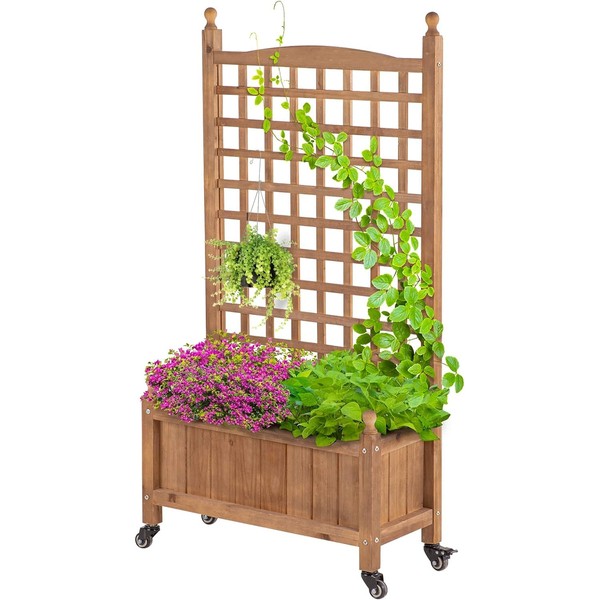 IDZO 50 Inches Height Raised Garden Bed with Trellis, Durable