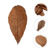 ABOOFAN 20pcs Dried Leaf Sushi Plating Mats Japanese Sashimi Decor