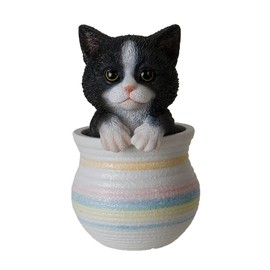 SUMMIT COLLECTION Gifts Decorative Black and White Tuxedo Kitten Cat in Pastel Striped Pot Home Decor Polyresin Figurine Cat Lovers Gift 6.25" H