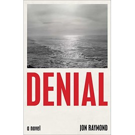 Denial: A Novel