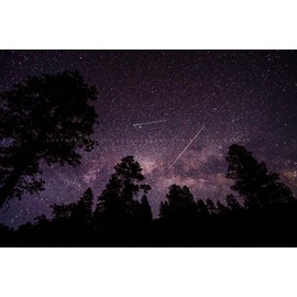 Night Sky Photography Print (Not Framed) Picture of Shooting Star Satellite and Plane Over Pine Tree Silhouettes in Colorado Milky Way Wall Art Nature Decor (8" x 10")