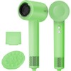 High Speed Hair Dryer,Blow Dryer Deep Green