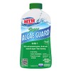 HTH 67032 Super Algae Guard Swimming Pool Algaecide Cleanser, 1