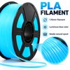 Glow in the Dark PLA Filament for FDM 3D Printing