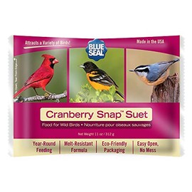 Cranberry Snap Suet Wild Bird Suet 12 Pack